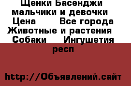 Щенки Басенджи ,мальчики и девочки › Цена ­ 1 - Все города Животные и растения » Собаки   . Ингушетия респ.
